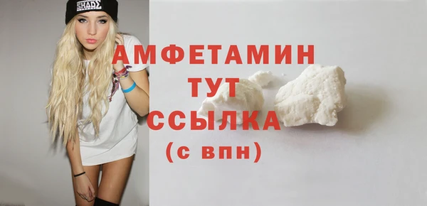 ГАЛЛЮЦИНОГЕННЫЕ ГРИБЫ Вязники