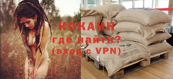 ГАЛЛЮЦИНОГЕННЫЕ ГРИБЫ Вязники