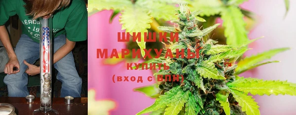 ГАЛЛЮЦИНОГЕННЫЕ ГРИБЫ Вязники